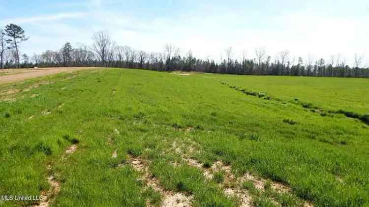 Land For Sale in 686, Graysport Crossing Road, Mississippi