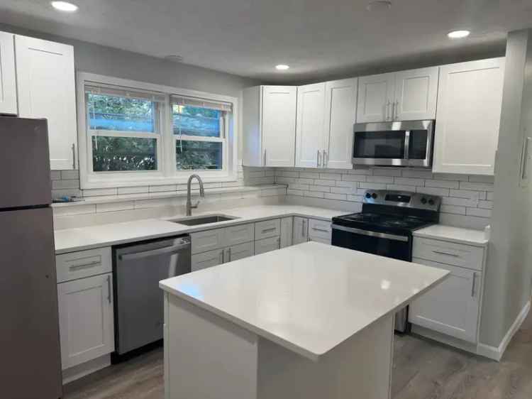 2 Bedroom Condo near UMASS - Fully Renovated