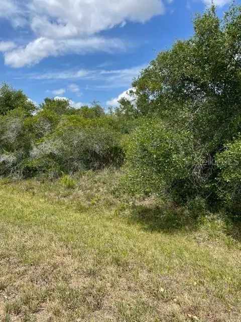 Land For Sale in 33514, Picciola Drive, Fruitland Park, Florida