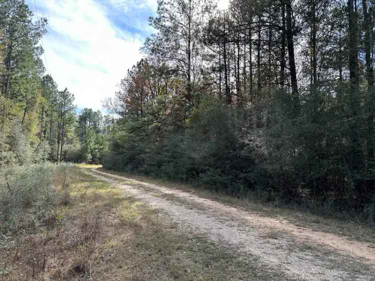 Land For Sale in Mississippi