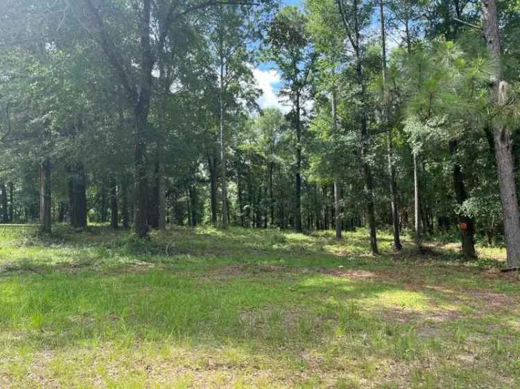 Land For Sale in Semmes, Alabama