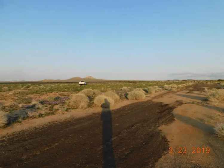 Land For Sale in California City, California