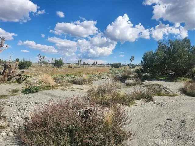 Land For Sale in Piñon Hills, California