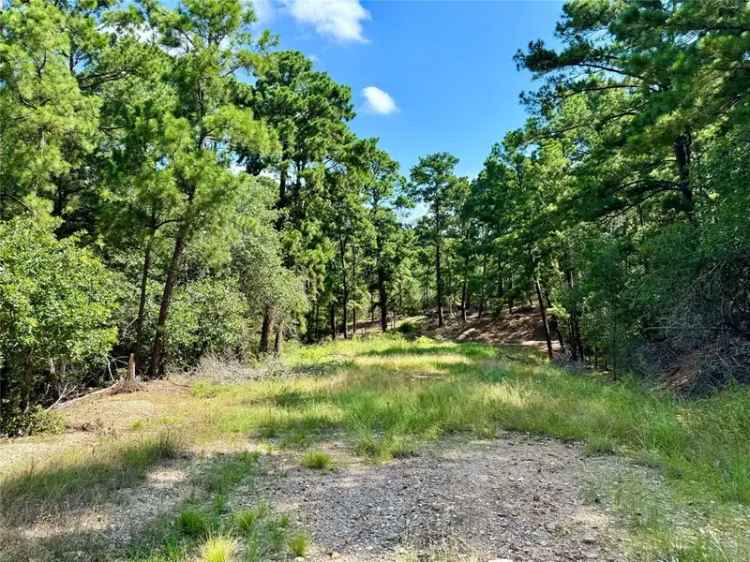 Land For Sale in Park Road 59, Texas