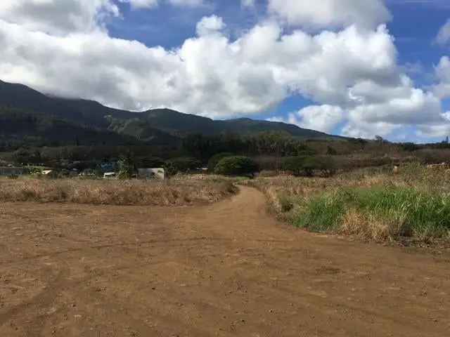 Land For Sale in 1503, Piihana Road, Wailuku, Hawaii