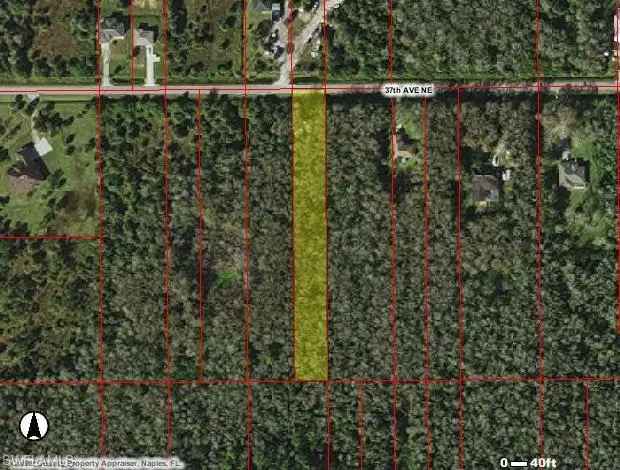 Land For Sale in Florida