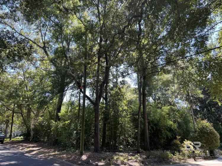 Land For Sale in Fairhope, Alabama