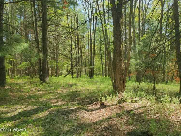 Wooded Lots for Sale - Underground Electric - Private Setting