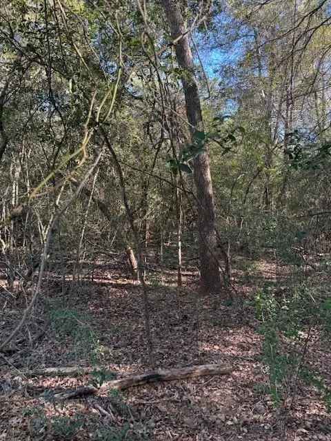 Land For Sale in 125, Helemano Drive, Texas