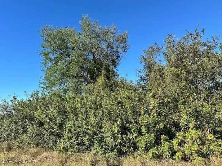 Land For Sale in 4221, 15th Street Southwest, Florida