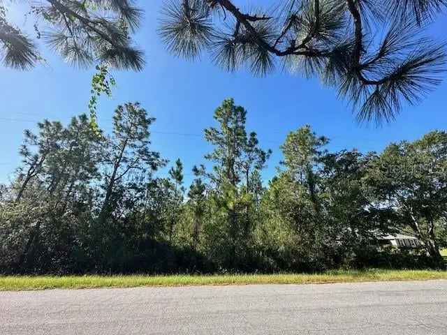 Land For Sale in Wedgefield, Florida