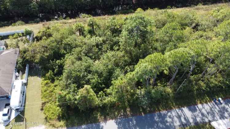 Land For Sale in 380, Titan Road Southeast, Palm Bay, Florida