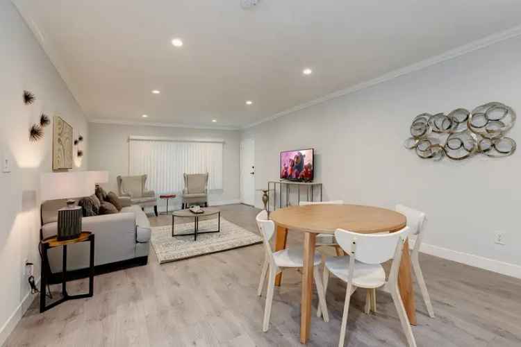 Hollywood 1 Bedroom Apartment - Newly Renovated