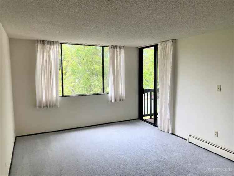 Lower Pacific Heights 1 Bedroom Apartment for Rent