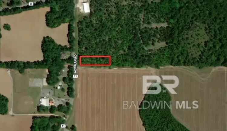 Land For Sale in Alabama