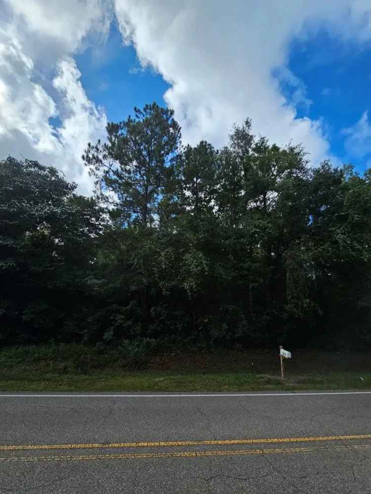 Land For Sale in 980, Anchor Lake Road, Mississippi