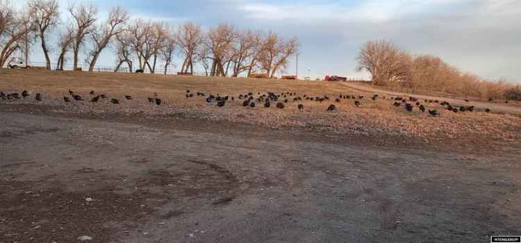 Land For Sale in 1947, Sussex Road, Wyoming