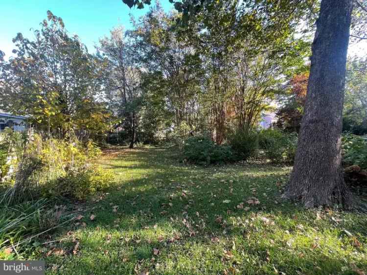 Land For Sale in Milton, Delaware