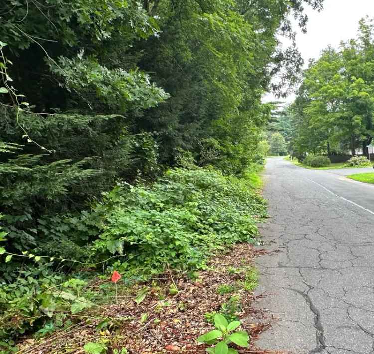 Land For Sale in 94, Lawrence Avenue, Avon, Connecticut