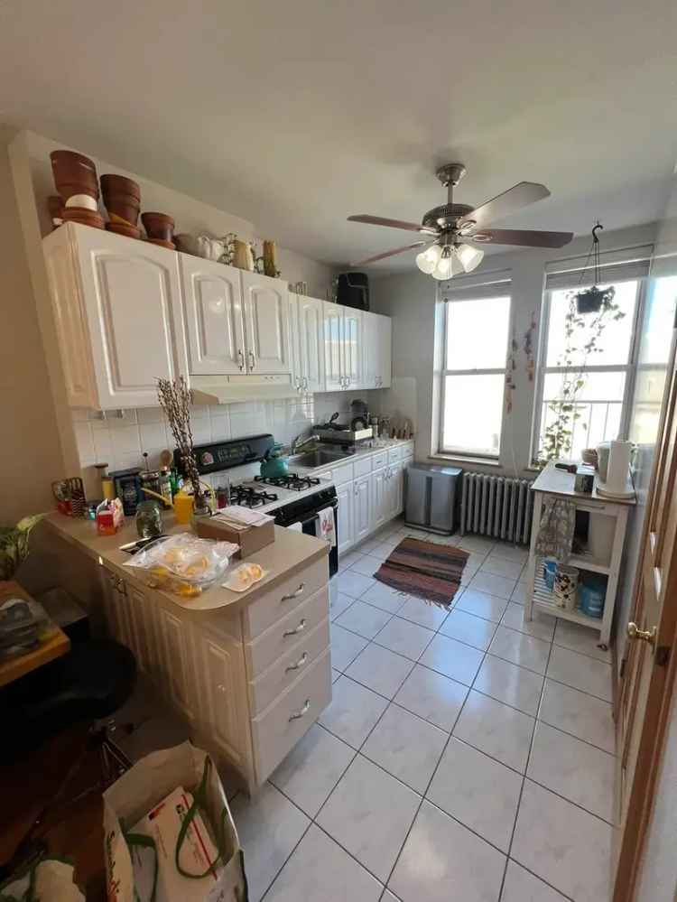 2 Bedroom Railroad Apartment Near McGolrick and McCarren Parks