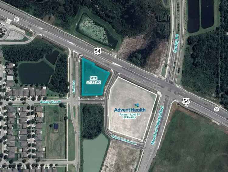 Land For Sale in Wesley Chapel, Florida