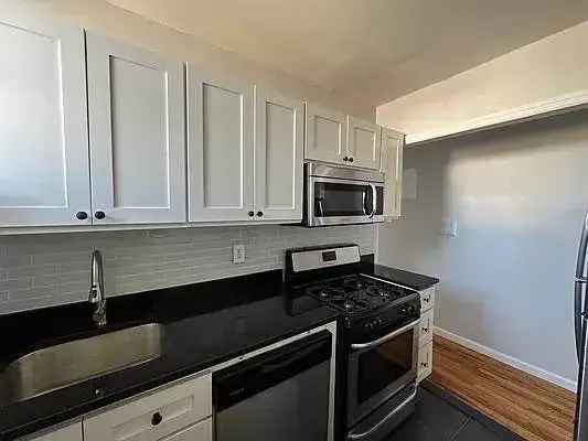 2 Bedroom Apartment in Bushwick with Manhattan Skyline Views