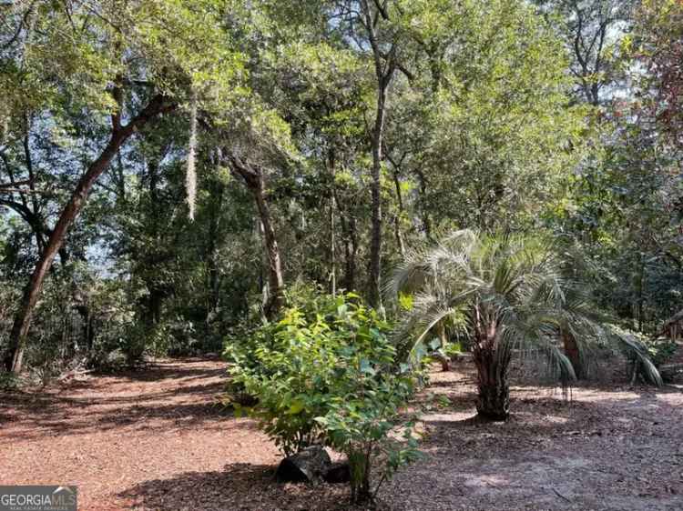 Land For Sale in St. Marys, Georgia