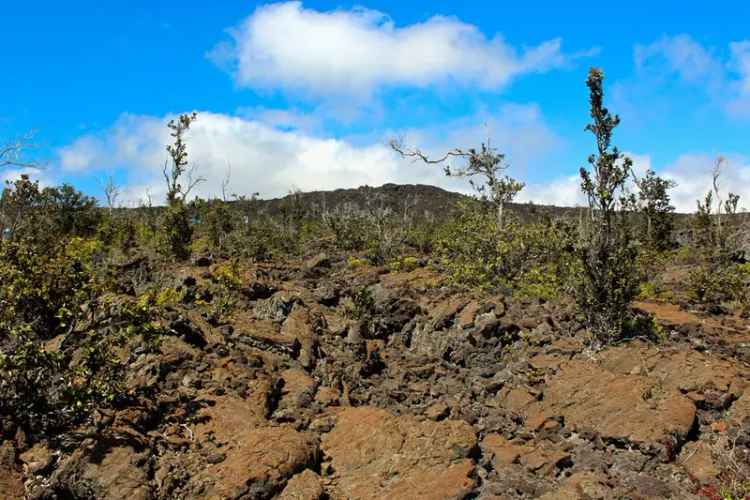 Land For Sale in Hawaiian Ocean View, Hawaii