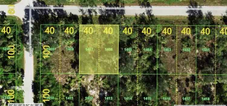 Land For Sale in 26163, Hapsburg Road, Punta Gorda, Florida