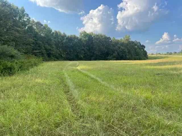 Land For Sale in Opp, Alabama