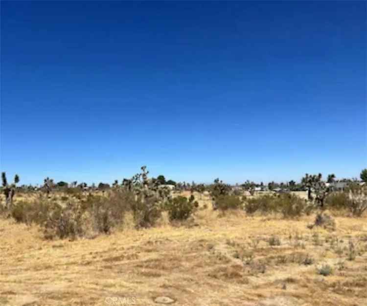 Land For Sale in Piñon Hills, California