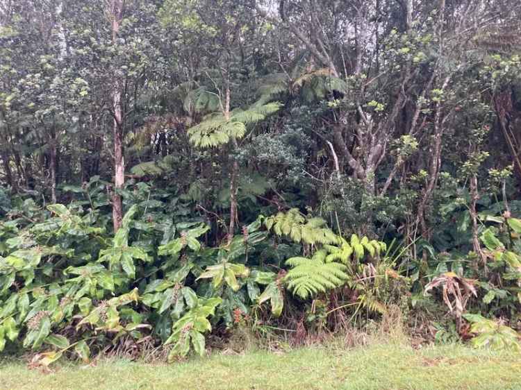 Land For Sale in Volcano, Hawaii