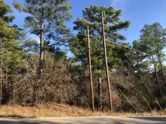 Land For Sale in 185, Kamaiki Drive, Texas