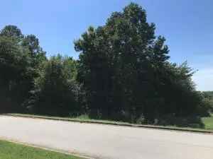 Land For Sale in Harrison, Arkansas