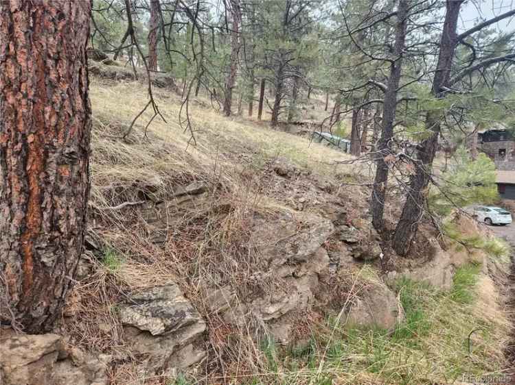 Land For Sale in Evergreen, Colorado