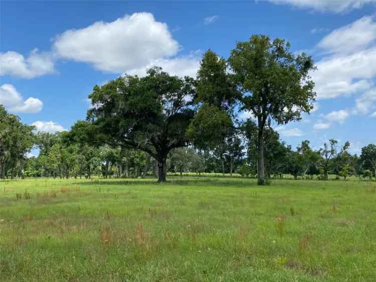 Land For Sale in Ocala, Florida