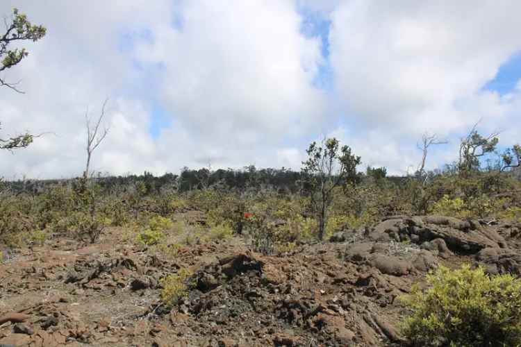 Land For Sale in Hawaiian Ocean View, Hawaii