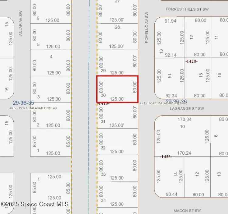 Land For Sale in 2998, Pomello Avenue Southwest, Palm Bay, Florida