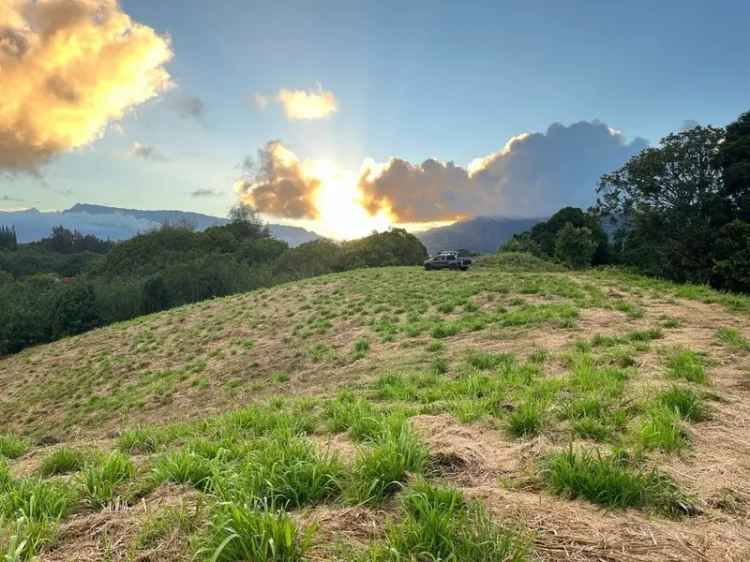 Land For Sale in Kapaa, Hawaii