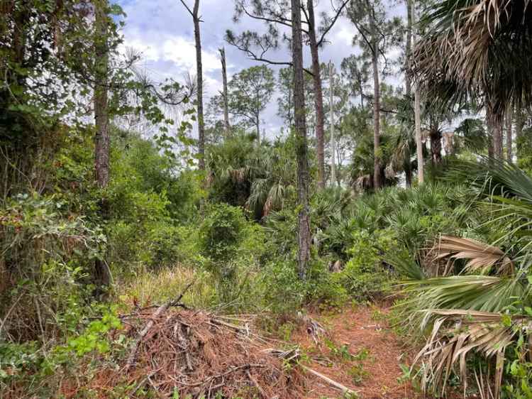 Land For Sale in Palm Bay, Florida