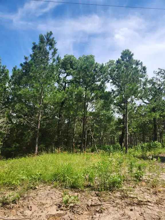 Land For Sale in 124, Paintbrush Lane, Circle D-KC Estates, Texas