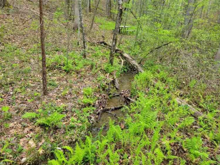 Land For Sale in East Ellijay, Georgia