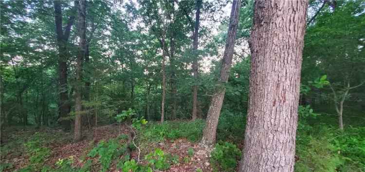 Land For Sale in Arkansas