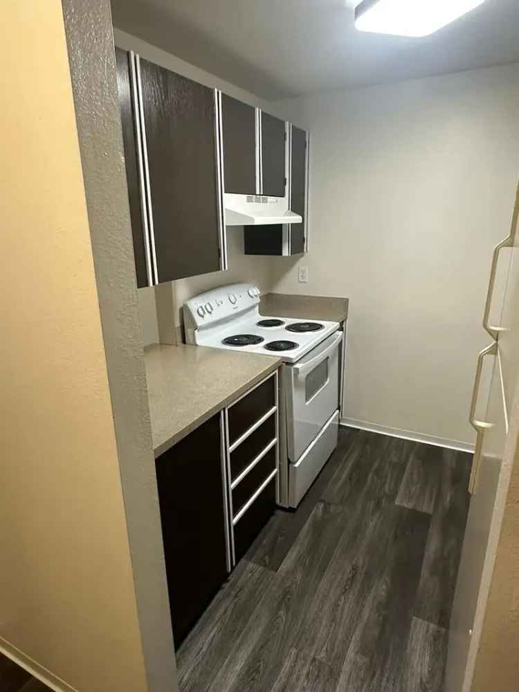 Apartments for Rent