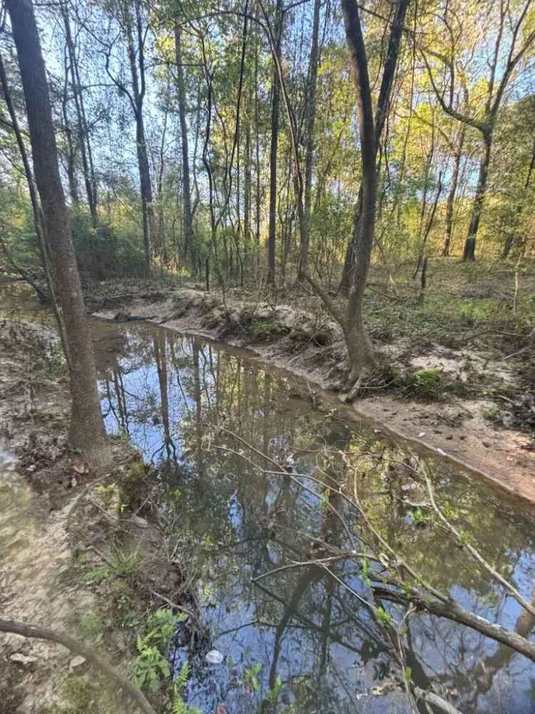 Land For Sale in Dothan, Alabama