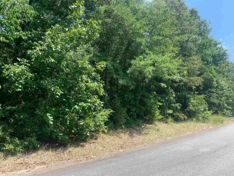 Land For Sale in 217, Blue Ridge Lane, Warner Robins, Georgia