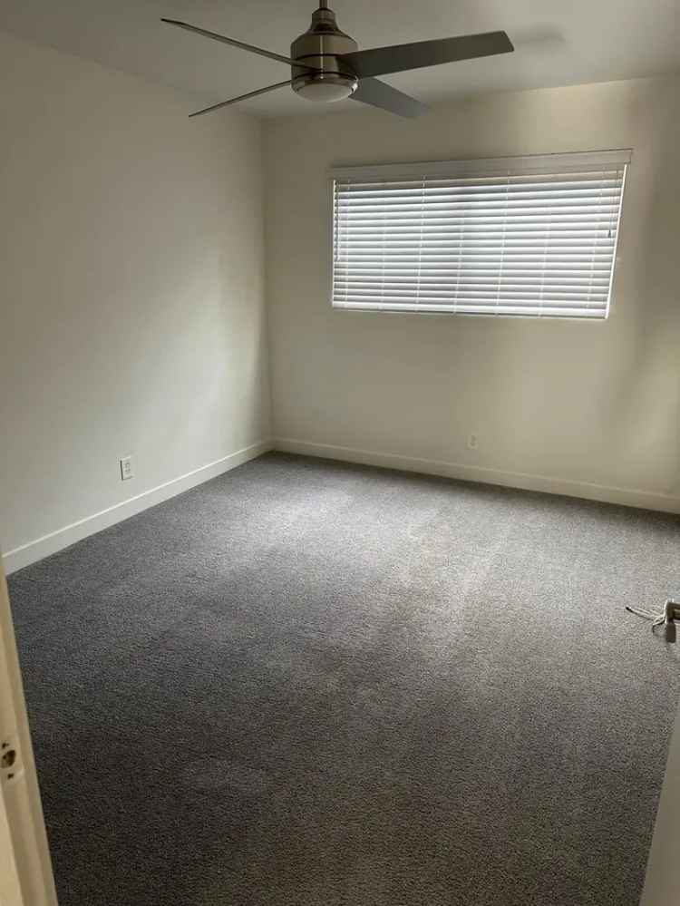 Apartments for Rent