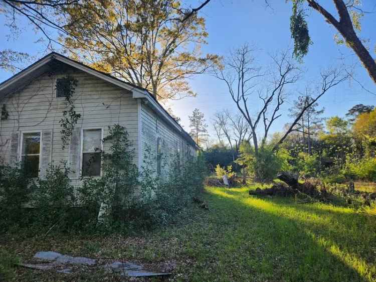 Single-family house For Sale in Abbeville, Alabama