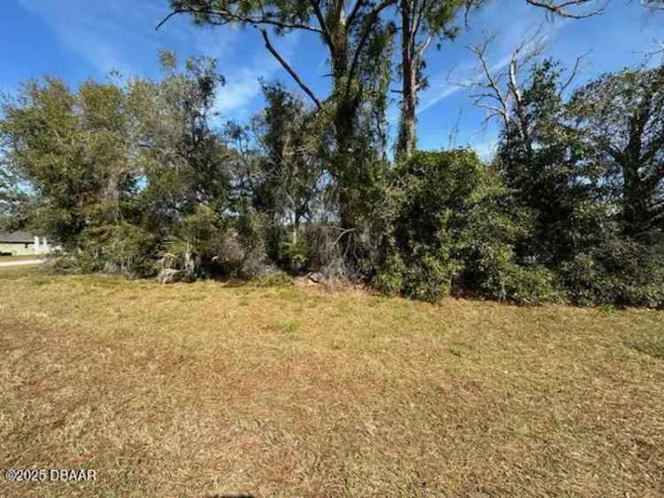 Land For Sale in 2931, Lake Helen Osteen Road, Deltona, Florida