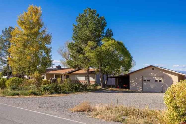 House For Sale in Montrose, Colorado